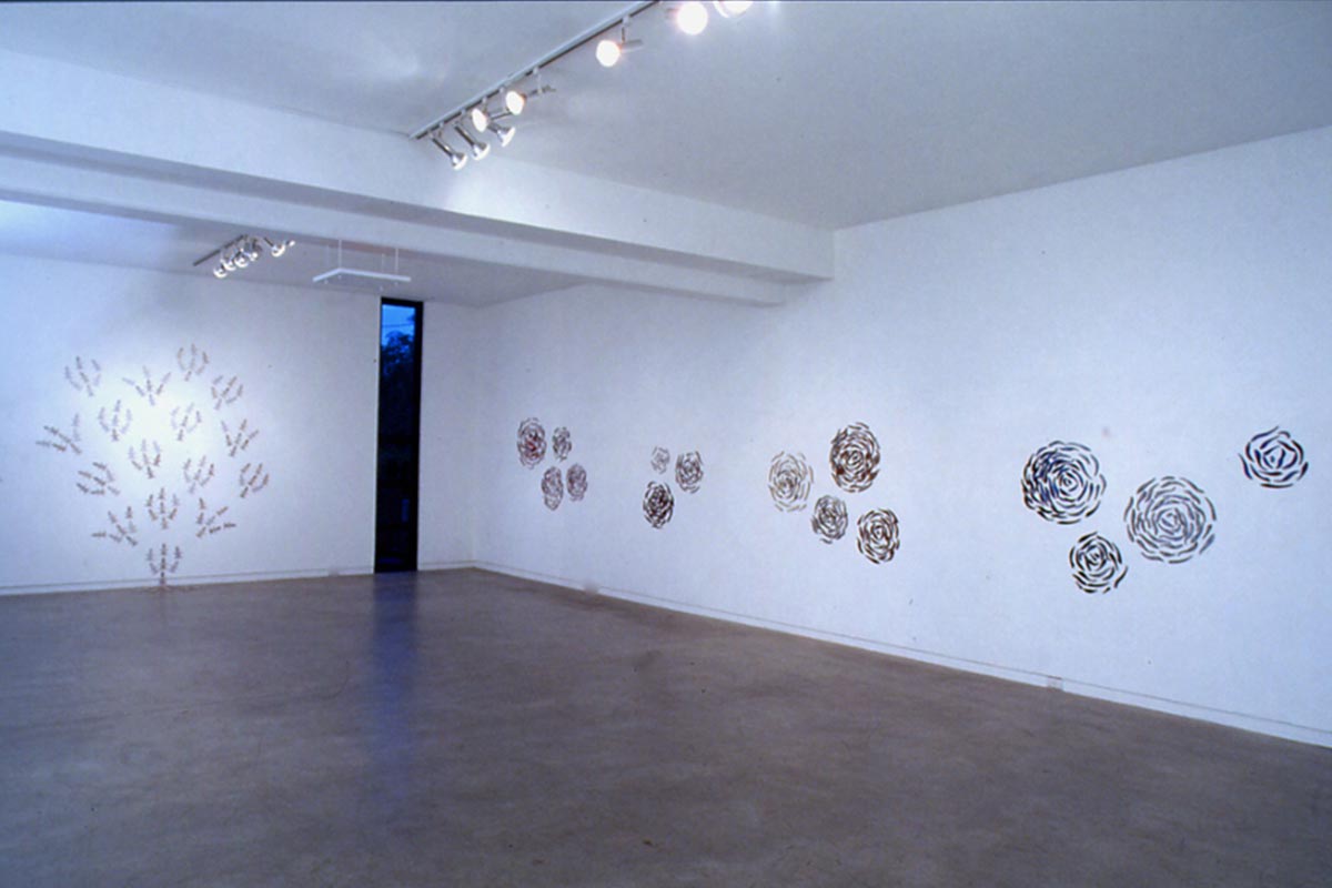 Pam Gaunt – Floribunda exhibition